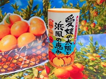 愛媛みかんジュース