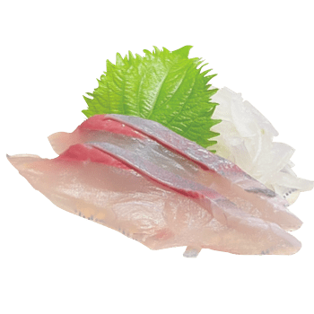ごりごりかんぱち刺身
