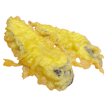 ナス天塩