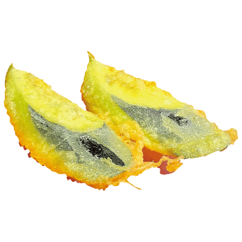 ナス天塩