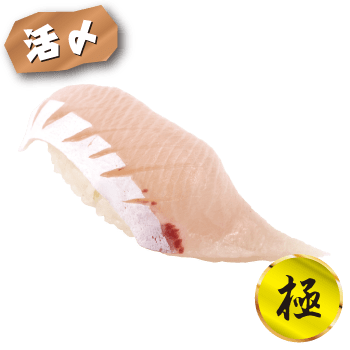 熟成とろかんぱち
