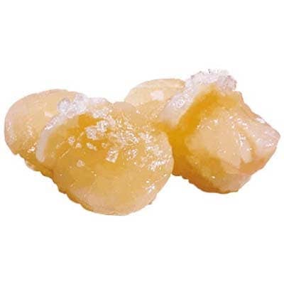 北海道直送・生ほたて貝柱