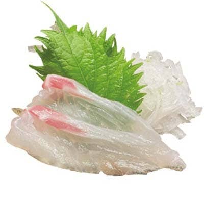 活〆真鯛刺身
