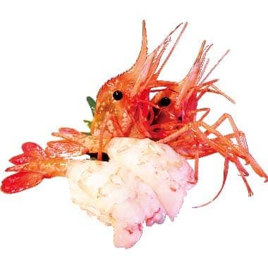 ぼたんえび２貫