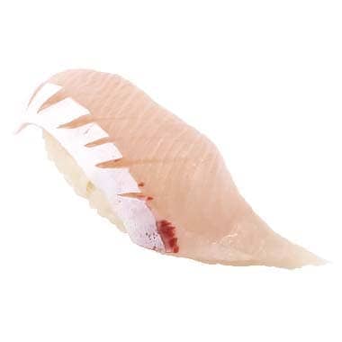 活〆とろかんぱち